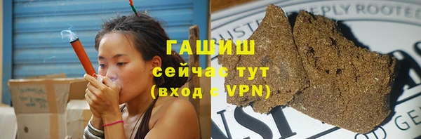 прущие грибы Богданович