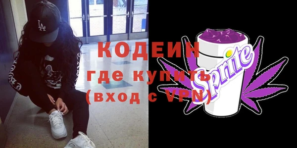 прущие грибы Богданович