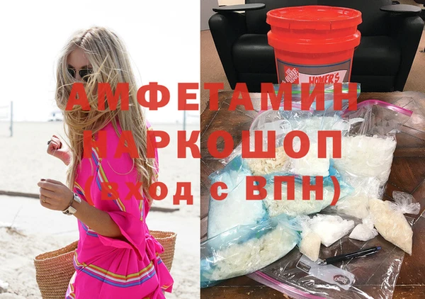 прущие грибы Богданович