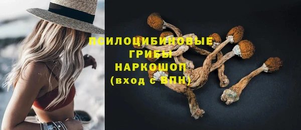 твердый Богородицк