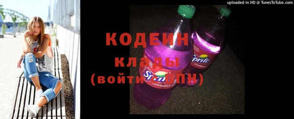 прущие грибы Богданович