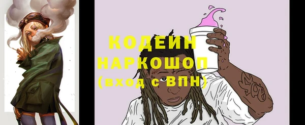 прущие грибы Богданович