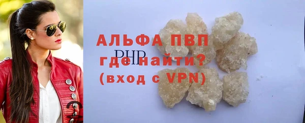 прущие грибы Богданович