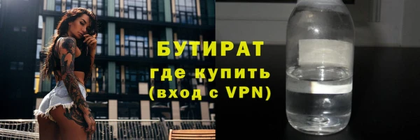 прущие грибы Богданович