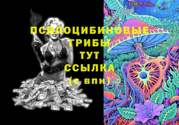 прущие грибы Богданович
