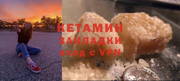прущие грибы Богданович