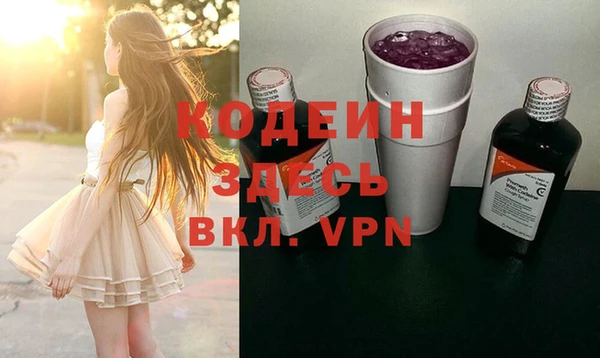 прущие грибы Богданович