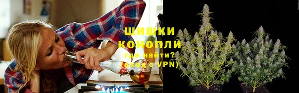 твердый Богородицк